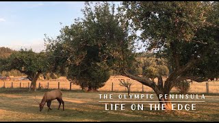 The Olympic Peninsula: Life on the Edge