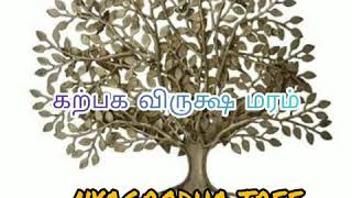 Tamil short stories - கற்பக விருக்ஷ மரம்