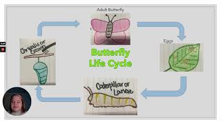Edu 246 Booker - Screencast for Signature Assignment: Drawing the Life Cycle of a Butterfly
