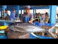 Skill Hebat Om Bahar Potong Ikan Tuna Besar Untuk Kuliner Nasi Kuning Harga 10 K per porsi