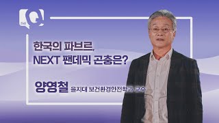 [매일경제 TV 더 큐] 양영철 을지대 교수 / 한국의 파브르, NEXT 팬데믹 곤충은?