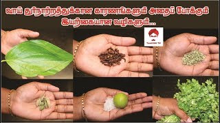 #Mouthrefreshners வாய் துர்நாற்றத்தைப் போக்கும் இயற்கையான வழிகள் | Home Made Mouth Refresher |