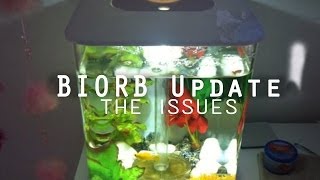 BiOrb update: problems with the tank, and algae issues