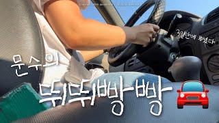 🚘3일만에 뿌신 운전면허🚘