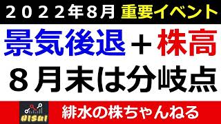 ８月相場の分岐点・米国２QＧＤＰマイナス成長を紐解く　【緋水の株ちゃんねる】