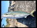 『高知・ショアジギ』決戦・双名島