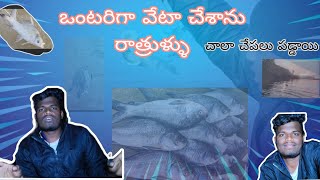 ఒంటరిగా వేట చేయడం single man fishing (@PradeepKumar_21R ) #fishermen #fish #foodfish #seafood #fis