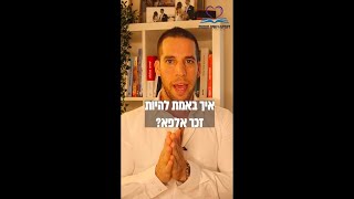 איך להיות גבר אלפא