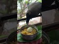 crow eating egg biryani 🥚😂 shorts help humanity birds