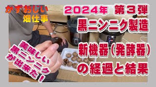 黒ニンニク製造第３弾～新機器での２回目と３回目の黒ニンニク完成結果は？：2024年黒にんにく発酵