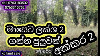 ලක්ශයකට වඩා ආදායමක් ගන්න පුලුවන් ගම්මිරිස් සහ පොල් ඉඩමක්