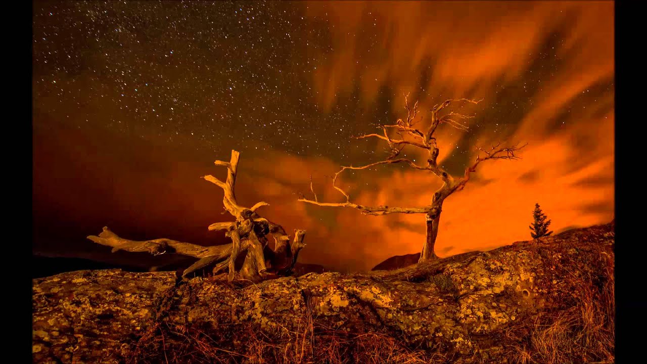 Calmunity Experience Youtube