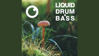 Liquid Drum & Bass Sessions 2020 Vol 39