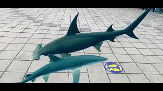 新東陽耗資千萬舉辦結合5G WIFI及AR技術的「shARk encounter 與鯊共舞在清水」在清水服務區開展啦！🦈「王者降臨天空秀」日景