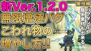 【ティアキン】Ver.1.2.0の単品無限増殖バグ技のこわれもの編!!バクダン花やドラゴン素材等投げたら効果発動する物の増殖方法です!! バグ技裏技編