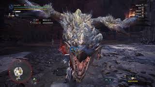 MonsterHunterWorld IceBorne MHWI｜リオレイア希少種　狩猟笛ソロ オトモなし 05'12\