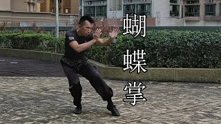 4k60 | 洪拳 蝴蝶掌 | Hung Gar Kung Fu Butterfly Palm