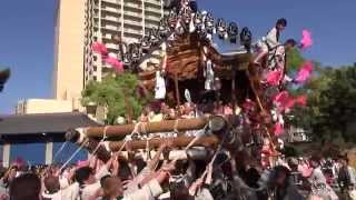 平成27年5月5日　本住吉神社宮出(野寄區・横屋區・西青木區・岡本區)