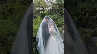 칭찬받는 웨딩촬영💍