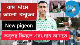 কমদামে কবুতর কিনতে। কবুতরের দাম জানতে।লাহোরি কবুতর।হোমা রেচার কবুতর। গিরিবাজ।Pigeon Tips.Bd pigeon.