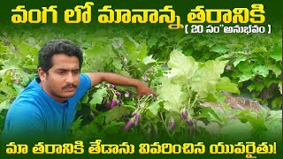 #brinjal #వంగ #organic farming #shoot borer fruit borer  వివరించిన యువ రైతు ! | YK Laboratorie