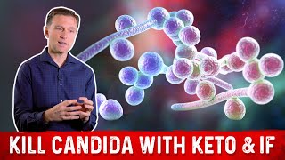 Kill Candida with Keto \u0026 Intermittent Fasting – Dr. Berg