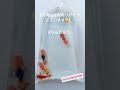 【 らんちゅう】2024 04 01 お買い上げありがとうございます ＃京阪錦鯉センター金魚