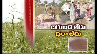 Jaikisan AP | 22nd May '20 | విజయనగరం రైతులకు గిట్టుబాటుకాని నువ్వుల సాగు