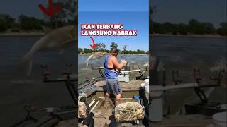 Ikannya pada melompat #fishing #mancing