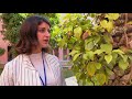 EU Neighbours South - Testimonials from Young Arab Voices