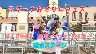 さくらかのん🌸3/16 ラグーナおどりんフェス 噴水ステージ