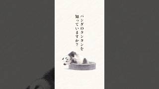 【#パンダ  #タンタン 最新刊】#王子動物園 の #飼育員 さんとの物語 #図鑑 #shorts