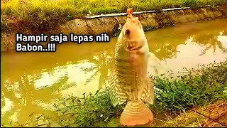 Spot tersembunyi banyak ikan bersarang disini...!!!