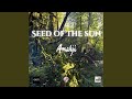 Seed of the Sun