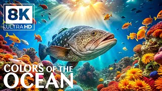 Undersea World 8K VIDEO (ULTRA HD) 🐠 Majestic Coral Reefs - Relaxing Sleep Meditation