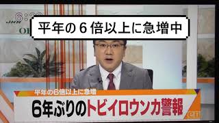 日本の農作物をトビイロウンカやツマジロクサヨトウから守れ！！