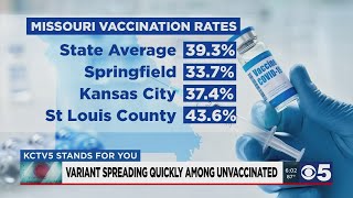 Death rate from COVID-19 in Springfield area highest since January