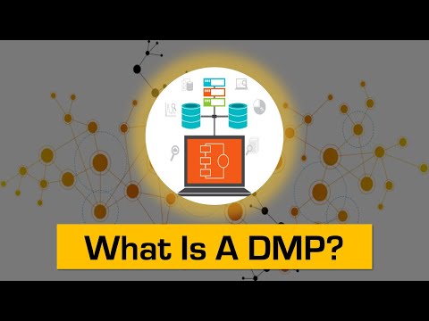 What Is A DMP (Data Management Platform)? - YouTube