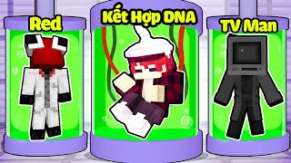 Hachi Kết Hợp Tế Bào DNA Của Red Với TV Man Trong Minecraft