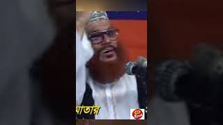 নবীজির দুধ মা হালিমা।#আল্লামাসাঈদী #shorts_islamic #shortswaz #waz_islamic #shortsvideo  #bangla