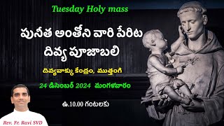 Rev. Fr. Ravi SVD | 24-12-2024 | Tuesday Holy Mass in Telugu | Divine Word Centre,Muthangi |