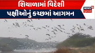 Kutch News | શિયાળામાં વિદેશી પક્ષીઓનું આગમન | Birds Migration | Kutch Birds Sanctuary | News18