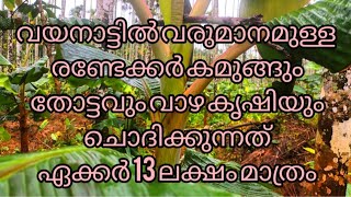 വയനാട്ടിൽ വരുമാനമുള്ള രണ്ടേക്കർകമുങ്ങുംതോട്ടവും വാഴ കൃഷിയും ചൊദിക്കുന്നത് ഏക്കർ 13 ലക്ഷംമാത്രം