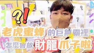 阿凱Akai｜老虎蜜蜂的巨無霸裡 怎麼會放財龍的爪子啦feat.@YSTVChannel0416 @wunwun0707 ｜台灣娃娃機－Taiwan doll machine