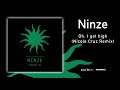 Ninze - Oh, I get high (Nicola Cruz Remix) (Feines Tier 017)