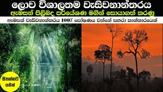 ඇමසන් වැසි වනාන්තරය පිළිබඳ ඔබ නොදන්නා විශ්මිත කරුණු 10ක්