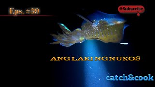 Eps. #39/grabe dagsaan ng mga isda/#nightspearfishing philippines