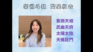 【紫微小學堂】細說紫相盤的雙星，紫微天相(造反之局？煞忌是衝動的力量)，武曲天府(理財能力一把罩)，太陽太陰(日月同臨格?這是個誤區)，天機巨門(號稱最聰明的格局，研究學問我最行)