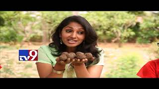 Seed Ball Game Explained ! - Learn \u0026 Fight Climate Change With Greenery - TV9