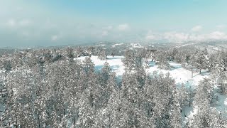 Divcibare  Serbian mountain